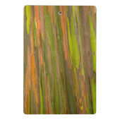 Abstract van eucalyptusschors mini klembord (Achterkant)