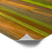 Abstract van Eucalyptusschors Poster (Hoek)