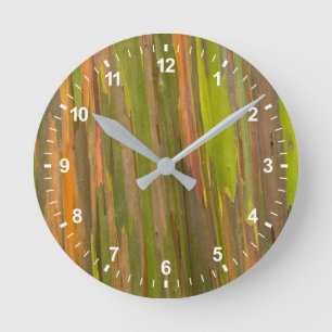 Abstract van Eucalyptusschors Ronde Klok