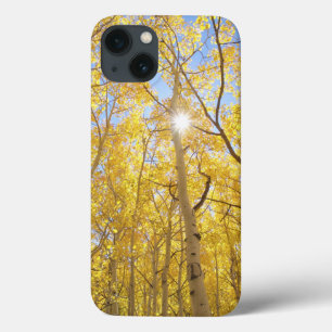 Abstract van Gilia te midden van wilde bloemen   C iPhone 13 Hoesje