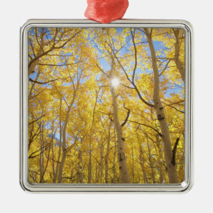Abstract van Gilia te midden van wilde bloemen C Metalen Ornament