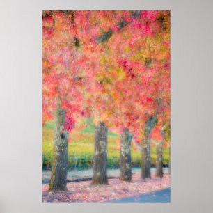 Abstract van Napa Valley-bomen Poster
