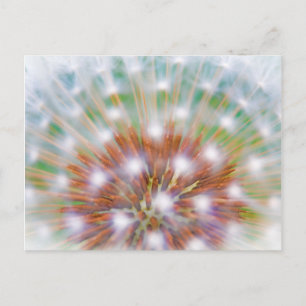 Abstract van paardenbloempluis briefkaart