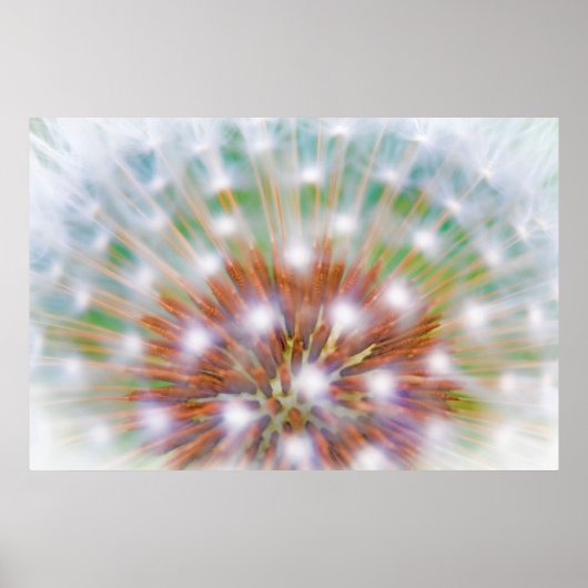 Abstract van paardenbloempluis poster (Voorkant)