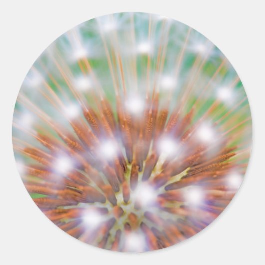 Abstract van paardenbloempluis ronde sticker (Voorkant)