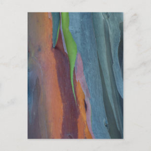 Abstract van regenbooggbomen briefkaart