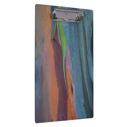 Abstract van regenbooggbomen klembord (Rechts)