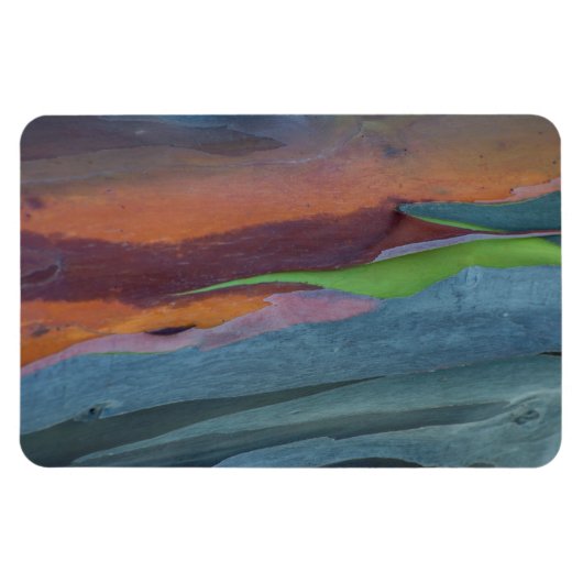 Abstract van regenbooggbomen magneet (Horizontaal)