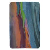 Abstract van regenbooggbomen magneet (Verticaal)
