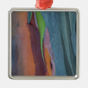 Abstract van regenbooggbomen metalen ornament