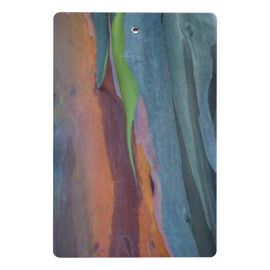 Abstract van regenbooggbomen mini klembord (Achterkant)