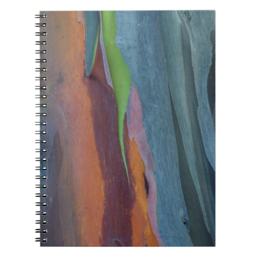 Abstract van regenbooggbomen notitieboek (Voorkant)