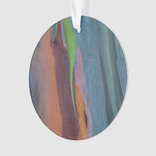 Abstract van regenbooggbomen ornament (voorkant)