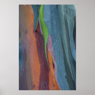 Abstract van regenbooggbomen poster