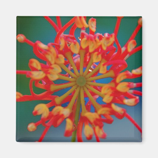 Abstract ventilatormagneet magneet (Voorkant)