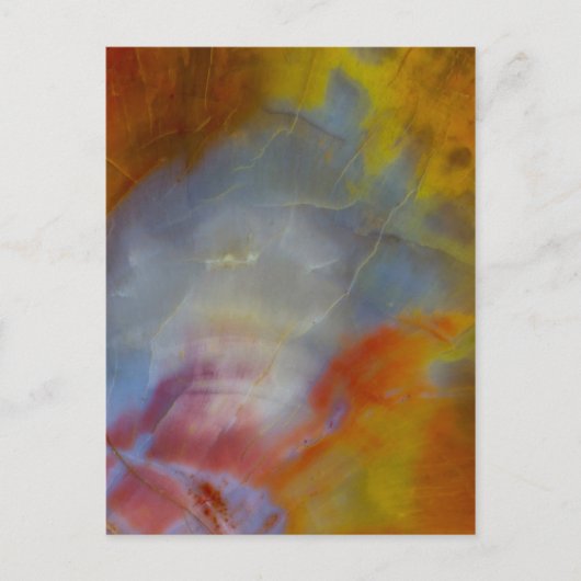 Abstract versteend hout close-up briefkaart (Voorkant)