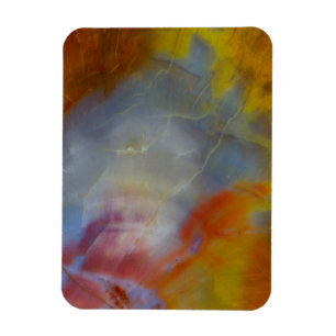 Abstract versteend hout close-up magneet