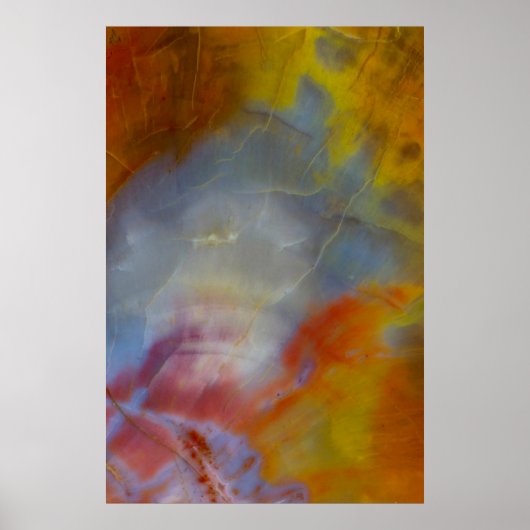 Abstract versteend hout close-up poster (Voorkant)