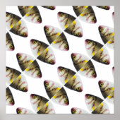 Abstract vispatroon poster (Voorkant)
