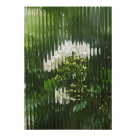  Abstract White Flowers through Reeded Glass  Foto Afdruk