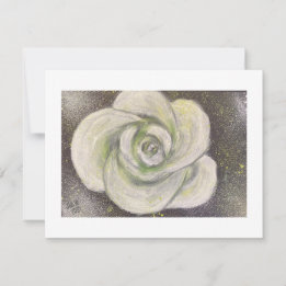 Abstract White Rose on black background card Kaart