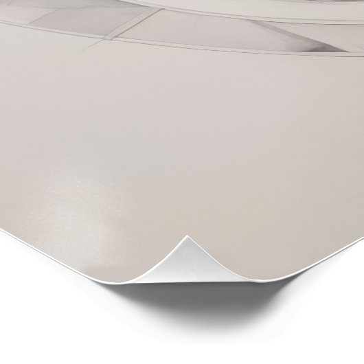 Abstract white rose perfect poster (Hoek)