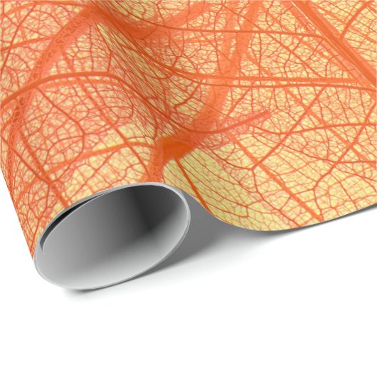  Abstract Wraps 11  Cadeaupapier (Rol Hoek)