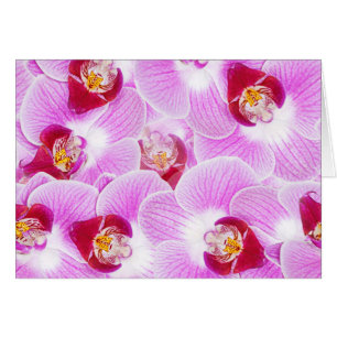 Abstracte achtergrond van een orchidee ventilatorf