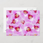 Abstracte achtergrond van een orchidee ventilatorf briefkaart (Voorkant / Achterkant)
