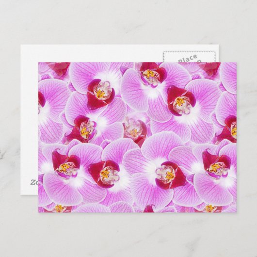 Abstracte achtergrond van een orchidee ventilatorf briefkaart (Voorkant / Achterkant)