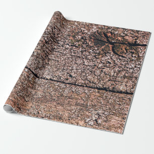 abstracte achtergrond van oude houtextuur closeupa cadeaupapier