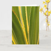 Abstracte afbeelding van Agave Plant Kaart (Gele Bloem)