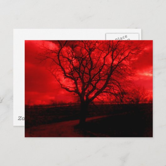 Abstracte balkstructuur briefkaart (Voorkant / Achterkant)