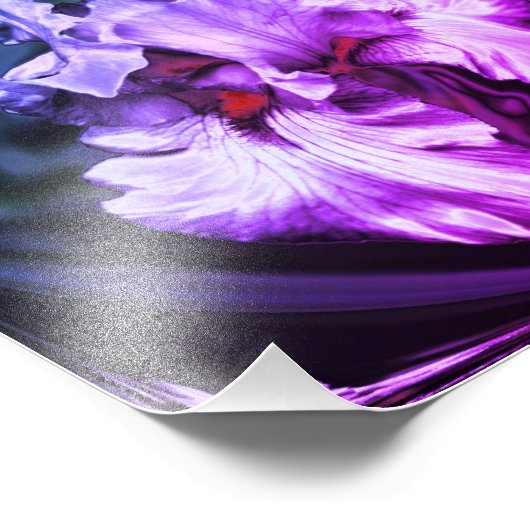 Abstracte Bearded Iris Flower Art 8x8 Foto Afdruk (Hoek)