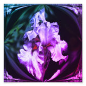 Abstracte Bearded Iris Flower Art 8x8 Foto Afdruk (Voorkant)