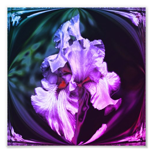 Abstracte Bearded Iris Flower Art 8x8 Foto Afdruk (Voorkant)