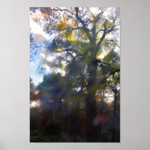 abstracte beschilderde bomen poster