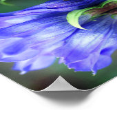 Abstracte blauw Gentian Flower Poster (Hoek)