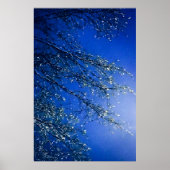 Abstracte Blauwe IJsboom Poster (Voorkant)
