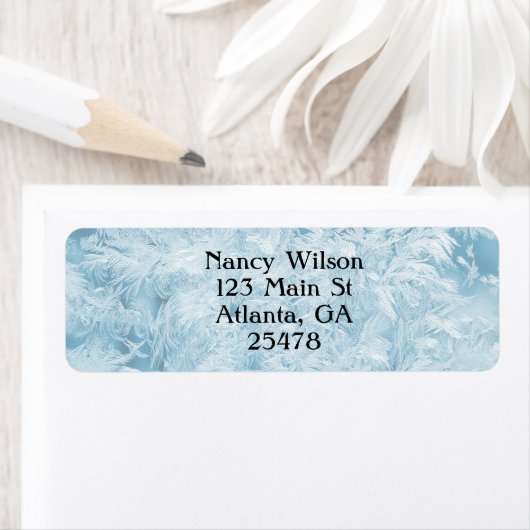 abstracte blauwe veren en sneeuwvlokken etiket (Insitu)