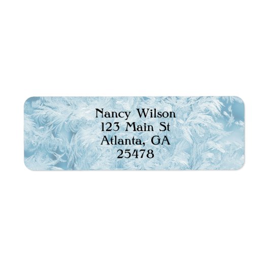 abstracte blauwe veren en sneeuwvlokken etiket (Voorkant)