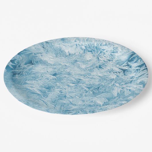 abstracte blauwe veren en sneeuwvlokken papieren bordje (Gekanteld)