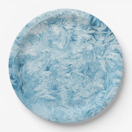 abstracte blauwe veren en sneeuwvlokken papieren bordje