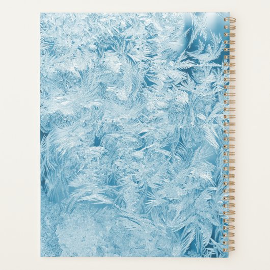 abstracte blauwe veren en sneeuwvlokken planner (Achterkant)