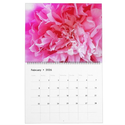 Abstracte & Bloemenkalender 2025 - MultiMediaSusan Kalender (Feb 2026)