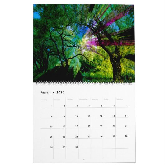 Abstracte & Bloemenkalender 2025 - MultiMediaSusan Kalender (Mar 2026)