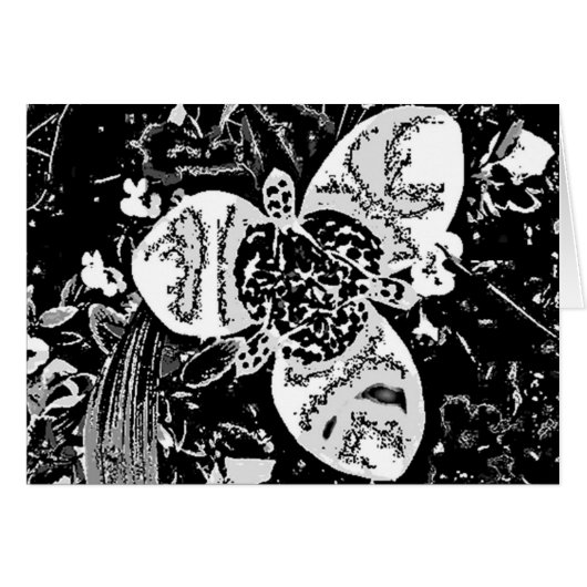 abstracte bloemenwedstrijd zwart-wit (Voorkant Horizontaal)