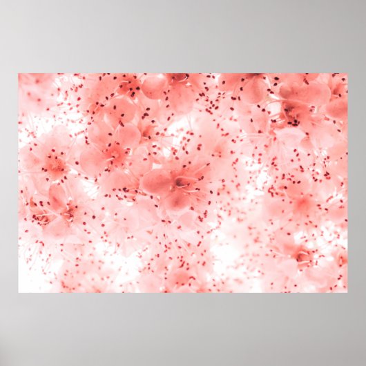 Abstracte bloemige achtergrond van roze bloemen ov poster (Voorkant)