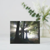 Abstracte bomen briefkaart (Staand voorkant)