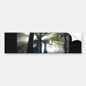 Abstracte bomen bumpersticker (Voorkant)